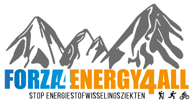 Forza4Energy4All bergen logo liggend